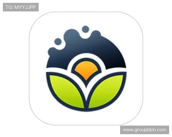 bbin游戏官方网站下载入口,快速获取官方正版游戏资源和最新版本