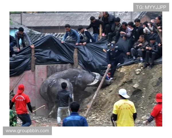 真人斗牛网址排行榜推荐最受欢迎的真人斗牛游戏平台推荐